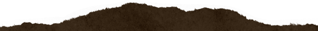 Brown 7